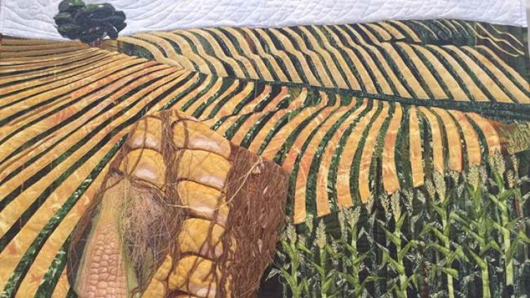 2017第九届亚洲拼布节今日上海开展（多图）